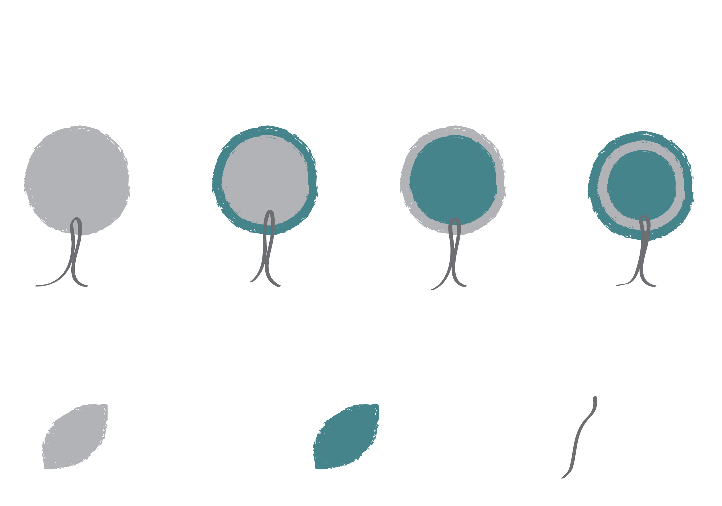 Potential placements of the conductive area for optimisation research 